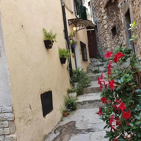 House Gorica
