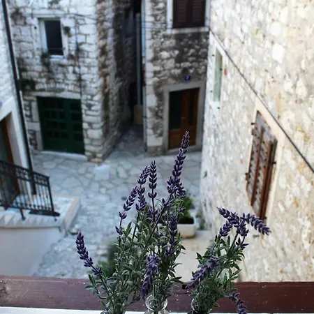 House Gorica Apartment *